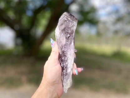 Dragon Tooth Amethyst and Ametrine Quartz Natural Point
