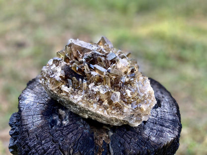 Natural Citrine Lemurian Seed Cluster