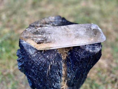 Natural Citrine Pleiadian Starbrary Point Crystal Brazil