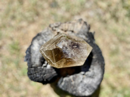 Smokey Citrine Freeform with Rainbow Veils