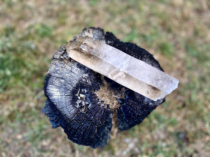 Natural Citrine Pleiadian Starbrary Point Crystal Brazil