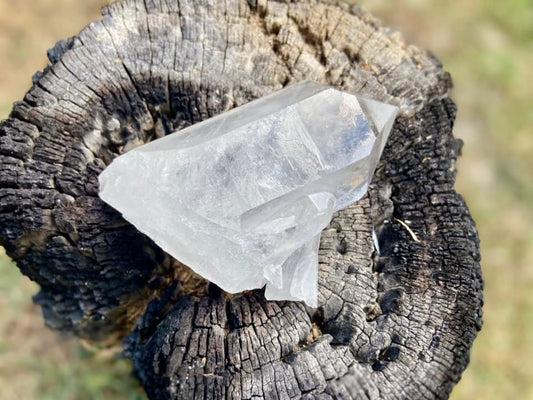 Lemurian Seed Quartz With Bridge and Dolphin