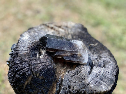 Smokey Quartz Ascending Cathedral Lemurian Seed Point