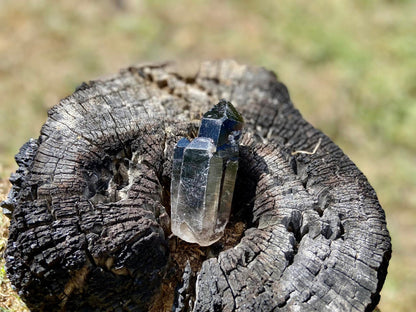 Smokey Quartz Cathedral Elestial Lemurian Seed Point