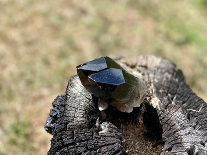 Smokey Quartz Twin Elestial Lemurian Seed Point