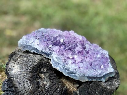 Amethyst Cluster