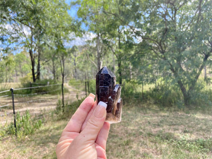 Smokey Quartz Ascending Cathedral Lemurian Seed Point