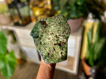 Stunning Gigantic Australian Andamooka Treated Opal Slab
