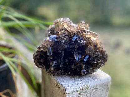 Natural Citrine Lemurian Seed Cluster