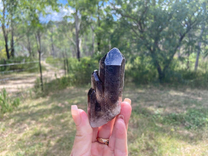 Smokey Quartz Ascending Cathedral Lemurian Seed Point