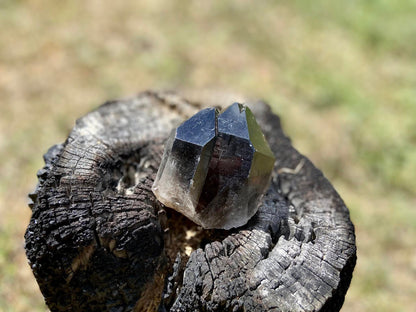 Smokey Quartz Twin Elestial Lemurian Seed Point