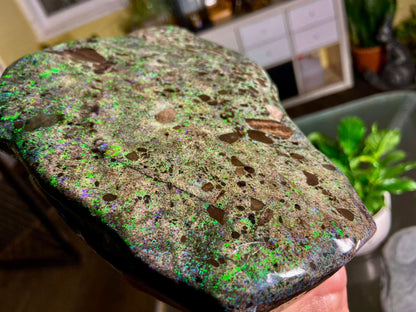 Stunning Gigantic Australian Andamooka Treated Opal Slab