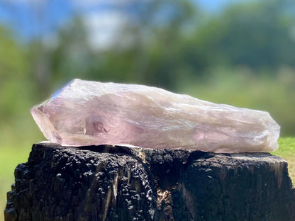 Dragon Tooth Amethyst and Ametrine Quartz Natural Point