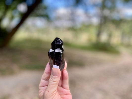 Smokey Quartz Cathedral Elestial Lemurian Seed Point
