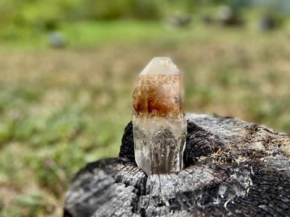 Lodolite Lemurian Inclusion Quartz Double Terminated