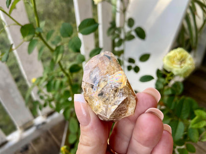 Herkimer Diamond with Record Keeper |  High-Vibrational Attunement | 47g