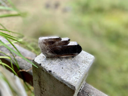 Smokey Quartz Ascending Cathedral Lemurian Seed Point