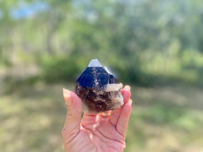 Smokey Quartz Twin Elestial Lemurian Seed Point