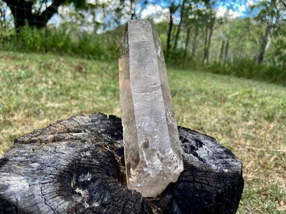 Natural Citrine Pleiadian Starbrary Point Crystal Brazil