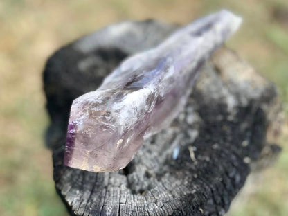 Dragon Tooth Amethyst and Ametrine Quartz Natural Point