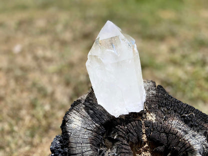 Lemurian Seed Ascending Cathedral Channeler