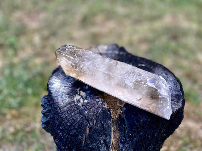Natural Citrine Pleiadian Starbrary Point Crystal Brazil