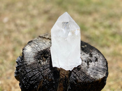 Lemurian Seed Ascending Cathedral Channeler