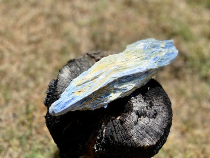 Blue Kyanite Blade Cluster with Quartz and Mica