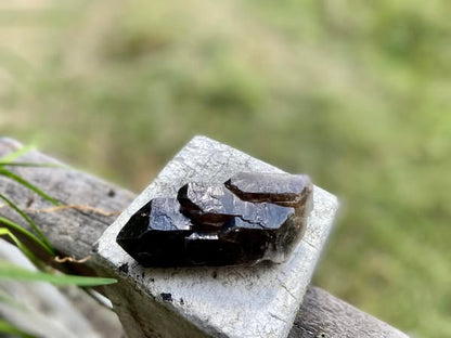 Smokey Quartz Ascending Cathedral Lemurian Seed Point
