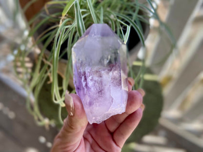 Brandberg Enhydro Amethyst Lemurian Seed Quartz AAA Quality