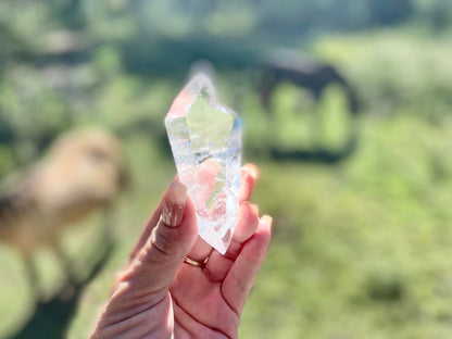 Double Terminated Clear Quartz Points