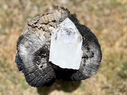 Lemurian Seed Ascending Cathedral Channeler