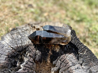Smokey Quartz Cathedral Elestial Lemurian Seed Point