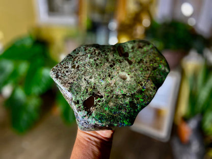 Stunning Gigantic Australian Andamooka Treated Opal Slab