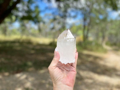 Lemurian Seed Ascending Cathedral Channeler