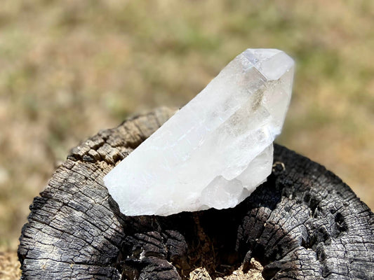 Lemurian Seed Quartz Point