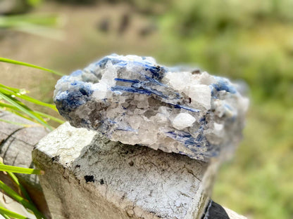 Blue Kyanite Blade Cluster with Quartz