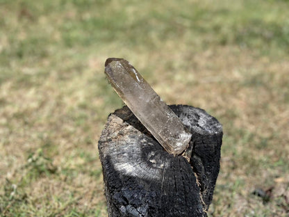 Natural Citrine Pleiadian Starbrary Point Crystal Brazil