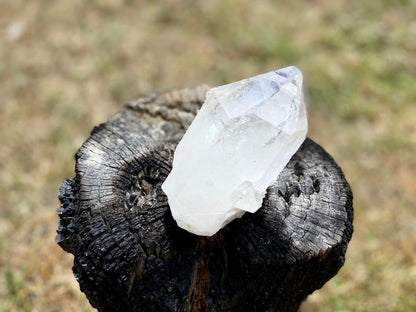 Inner Child Lemurian Seed Quartz