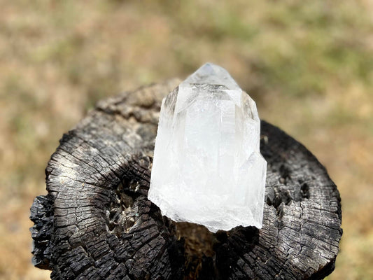 Lemurian Seed Ascending Cathedral Channeler