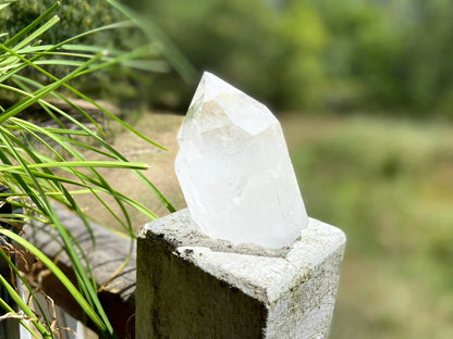 Lemurian Seed Ascending Cathedral Channeler