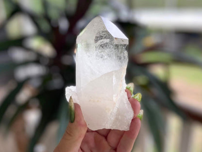 Lemurian Seed Ascending Cathedral Channeler A+ Grade