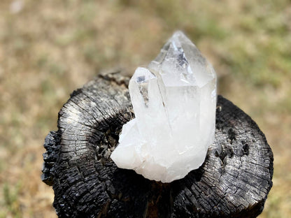 Inner Child Lemurian Seed Quartz