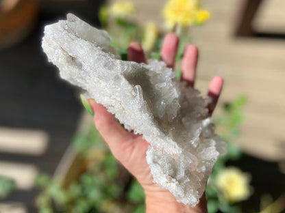 Lemurian Seed Mini Point Cluster AAA+ Grade