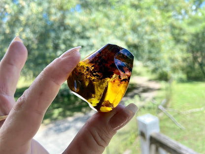 Polished Honey Amber (full of bugs) UV Sensitive