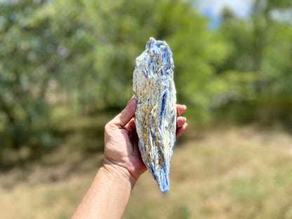 Blue Kyanite Blade Cluster with Quartz and Mica