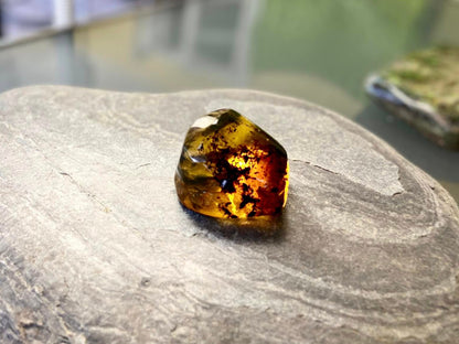 Polished Honey Amber (full of bugs) UV Sensitive