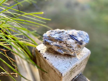 Blue Kyanite Blade Cluster with Quartz