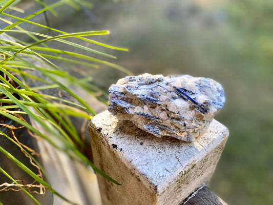 Blue Kyanite Blade Cluster with Quartz