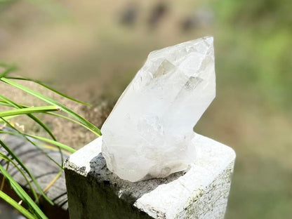 Inner Child Lemurian Seed Quartz